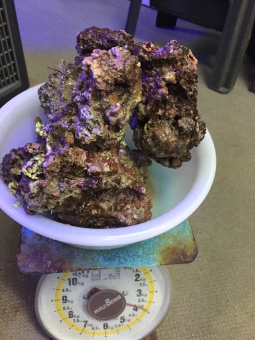f0212047_22374072.jpeg