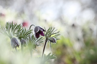 c0155950_18431651.jpg