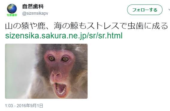 虫歯・歯周病の原因は何でしょうか_d0338857_04562827.jpg