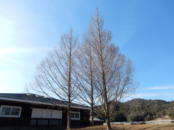 ’19,3,19(火)歯磨きみたいに習慣にしたら!_f0060461_20550429.jpg