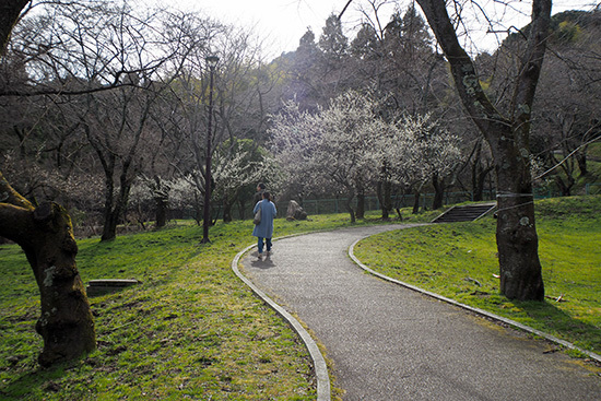 a0360062_20124567.jpg