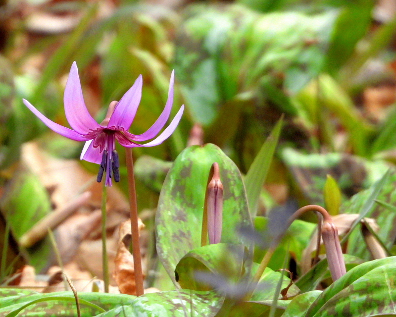 c0305565_17470396.jpg