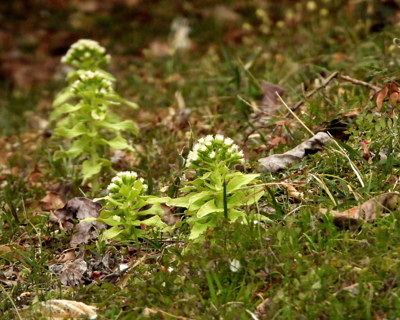 c0305565_17511232.jpg