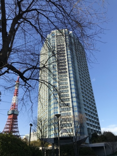 2019 Tokyo-1._c0153966_19195450.jpeg