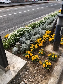3月なのに_b0351169_07055697.jpg