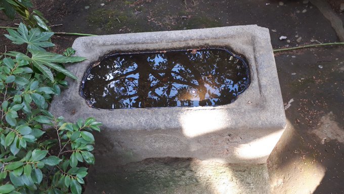 人魚まとめ(大幅追記)、目黒安養院の犬の墓、瀬田行善寺かいわい。ツイッター斜陽、めまい2019/3/14-18twitterまとめ_b0116271_14420031.jpg