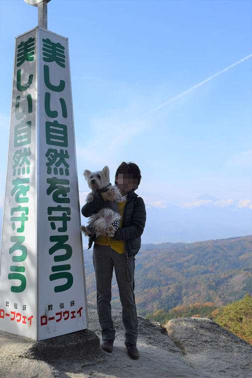 b0242873_00202695.png