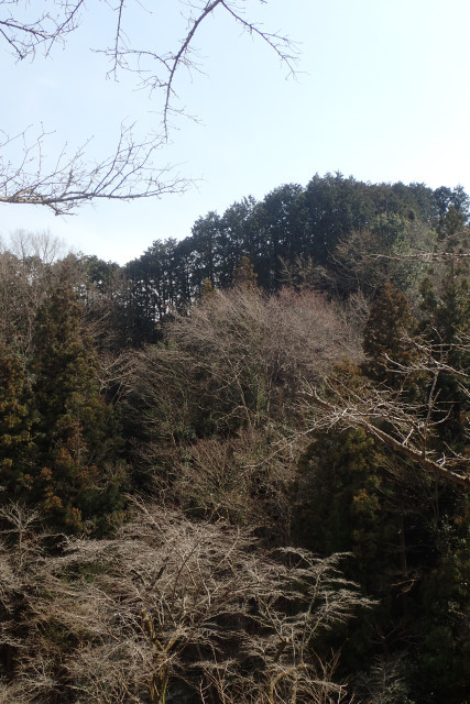 a0035279_22332935.jpg