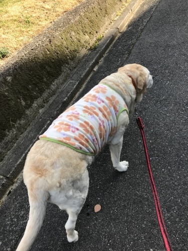 f0315081_21594819.jpeg