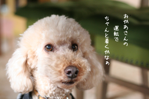 a0216583_23225933.png