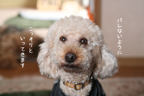 a0216583_23230474.png