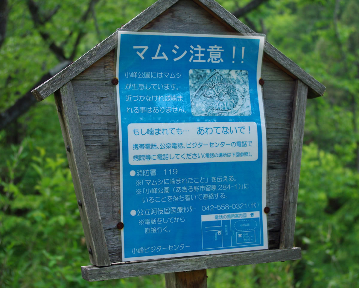 b0123486_16095585.jpg