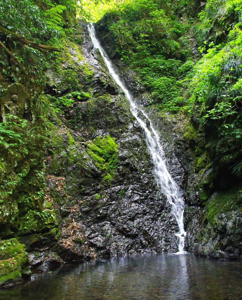 b0123486_16385095.jpg