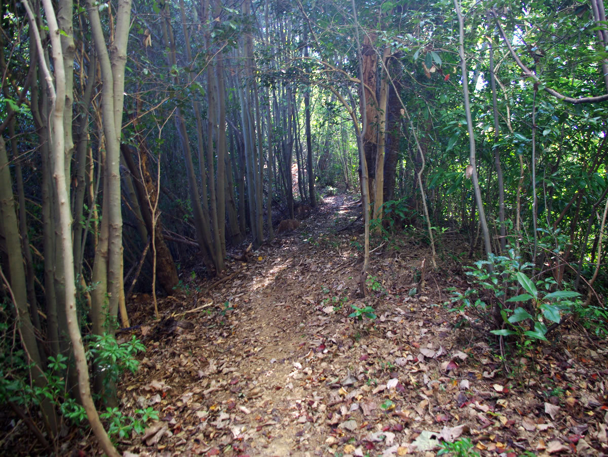 b0123486_17480766.jpg