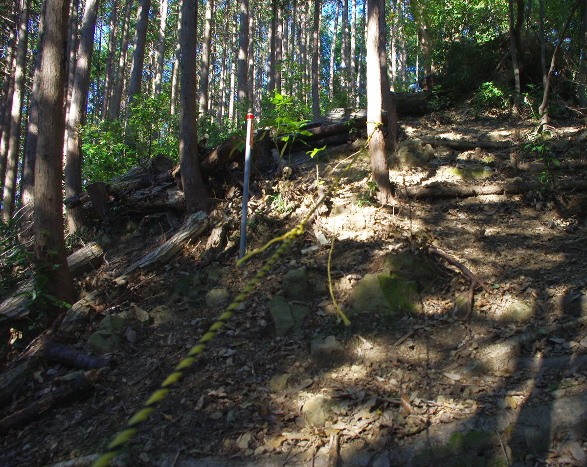 b0123486_17511587.jpg