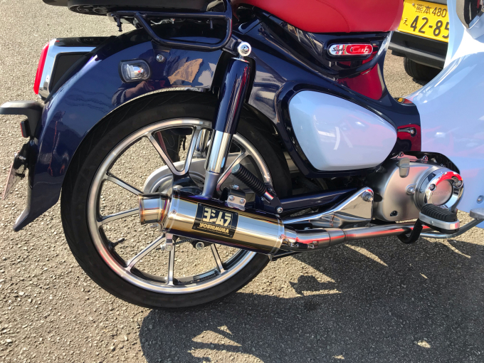 春です、間違いなく…な、愛車自慢です(^^)_d0132688_13193940.jpg