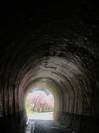 f0314690_19191715.jpeg