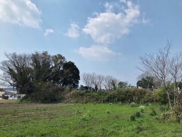 c0184491_00071050.jpg