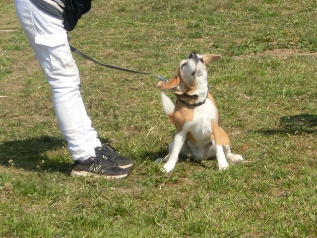 a0319693_8173389.jpg