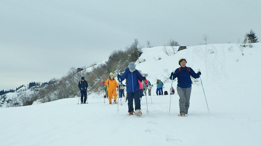 春山散歩へ行ってきました！（後半）_c0336902_19314613.jpg