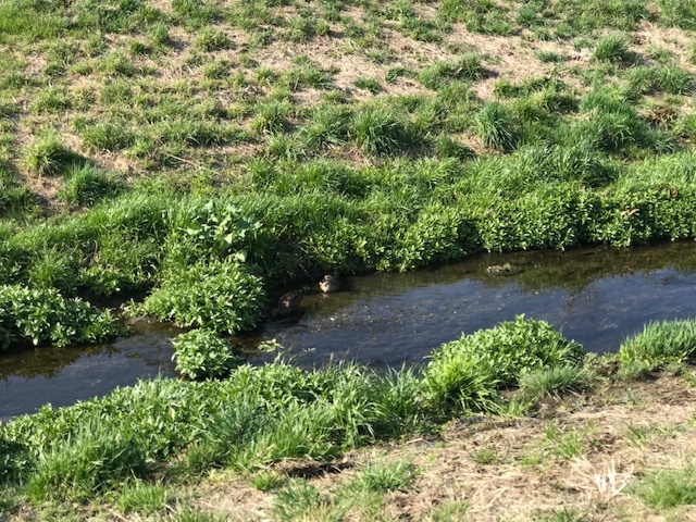 f0242002_15191199.jpg