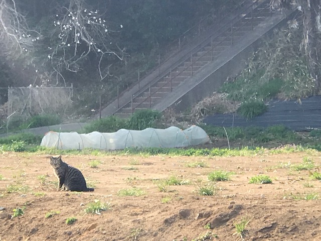 今回は「片足特集」です_f0242002_15435879.jpg