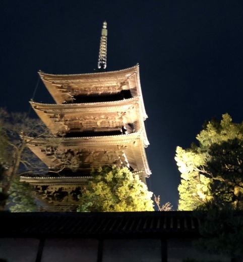 久しぶりの関西の旅٩(๑•∀•๑)۶_a0213806_00365996.jpeg