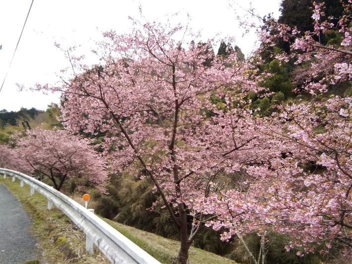 c0149408_11191151.jpg