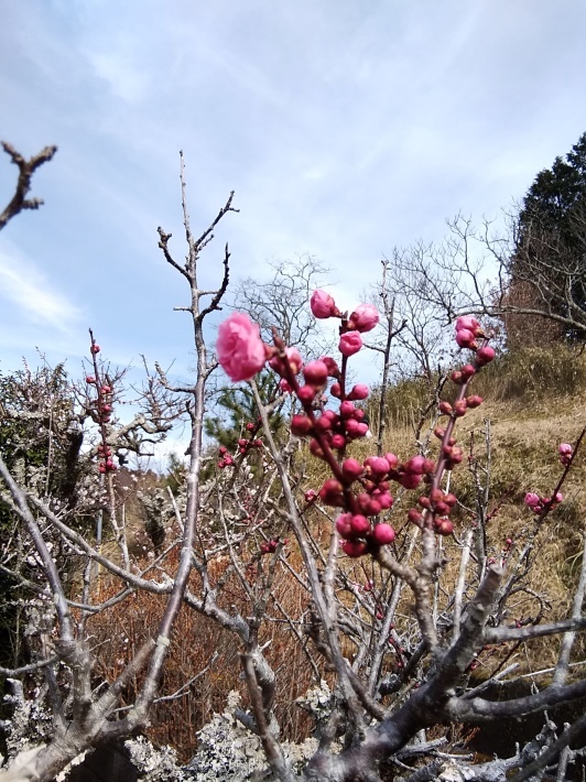 c0149408_11472442.jpg