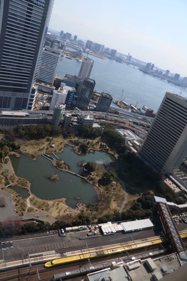 早春の東京湾 - 2019年・ドクターイエロー -_b0190710_22594429.jpg