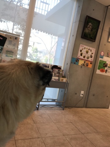d0377714_10240944.jpeg