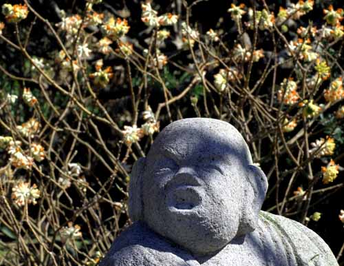 仏の声を聴く（３月１８日　常泉寺にて）_a0023315_10373460.jpg