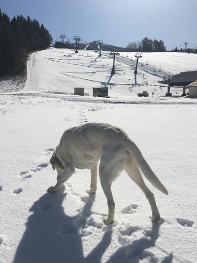 2019 スキー旅行（5回目・・・②）_c0114121_00315144.jpg