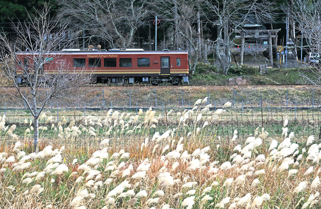 ＜信楽高原鉄道＞　　半身にすればよかった_b0185825_19581002.jpg