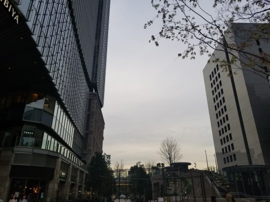 d0162225_23332348.jpg