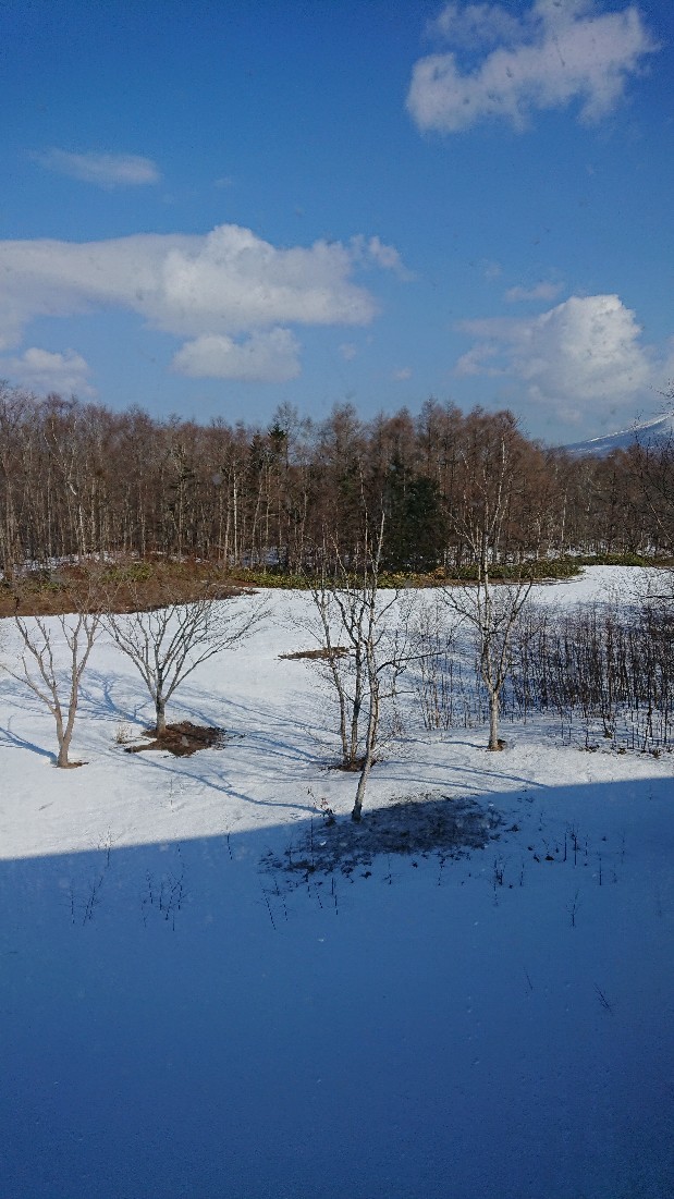 e0166032_19430103.jpg