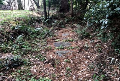 メスリ山古墳 : 奈良・桜井の歴史と社会 メスリ山古墳 : 奈良・桜井の歴史と社会