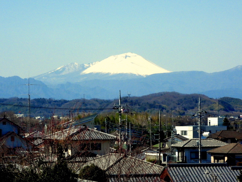 c0305565_17333977.jpg