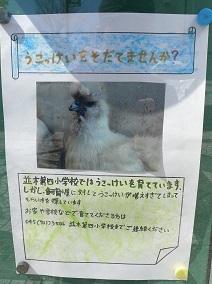 4 8 小学校掲示板 三百六十五連休