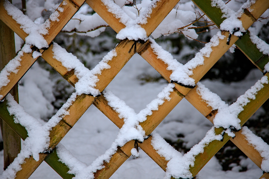 雪景色！　　～光悦寺～_b0128581_18574599.jpg