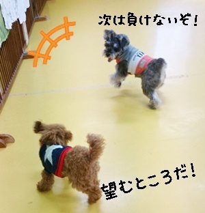 なかよし!_f0357682_19500759.jpg