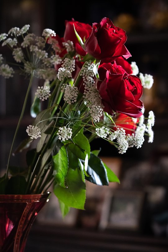 真紅の薔薇_d0353489_00201464.jpg