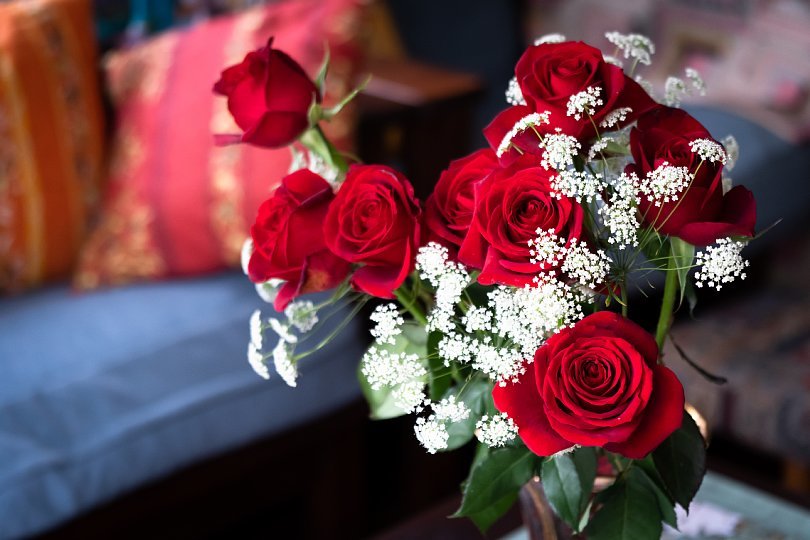 真紅の薔薇_d0353489_00210344.jpg