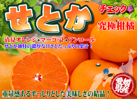 ーー今、スーパー！では、柑橘の種類！が多い。ーー_d0060693_16301449.png