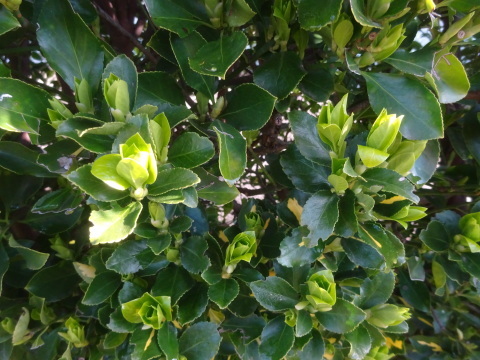 f0231709_12554905.jpg