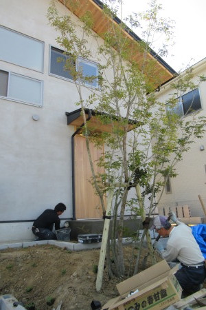 「飛香台の家」植栽工事_b0179213_21311706.jpg