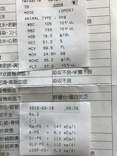 d0377714_09360164.jpeg