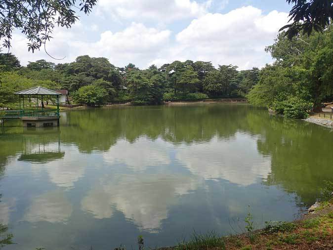 カピバラとミシシッピアカミミガメのお食事ＴＩＭＥ(大宮公園小動物園 July 2018）_b0355317_23391316.jpg