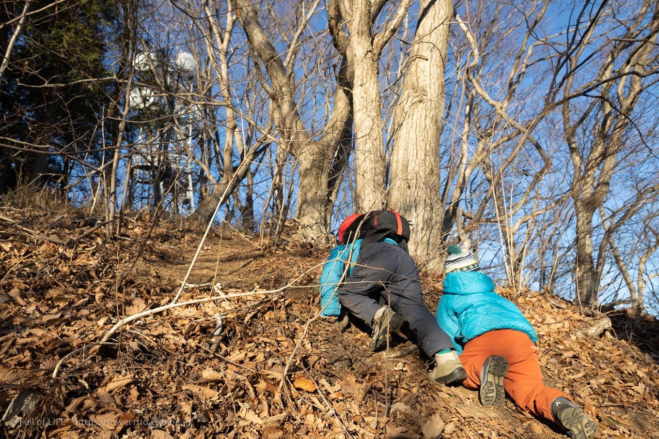 ゆるっとお手軽ハイキング「堂平山」_c0369219_12534593.jpg