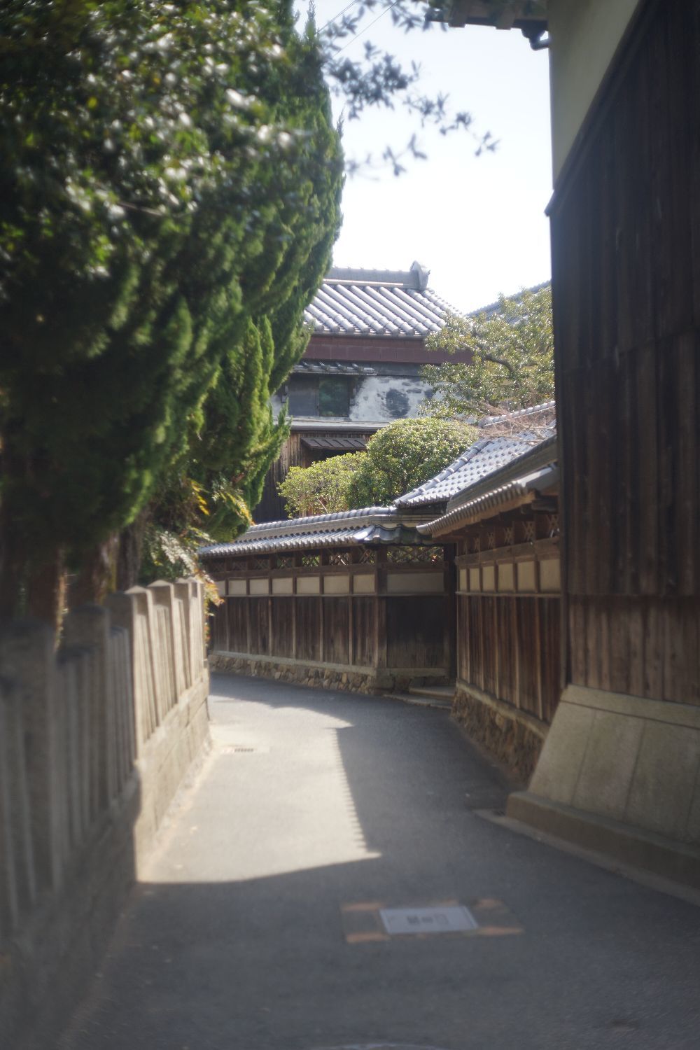 b0069128_16281941.jpg